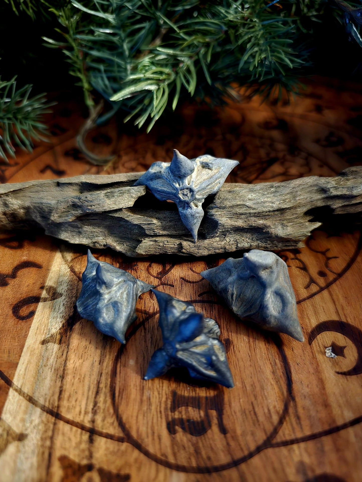 Devil Pods