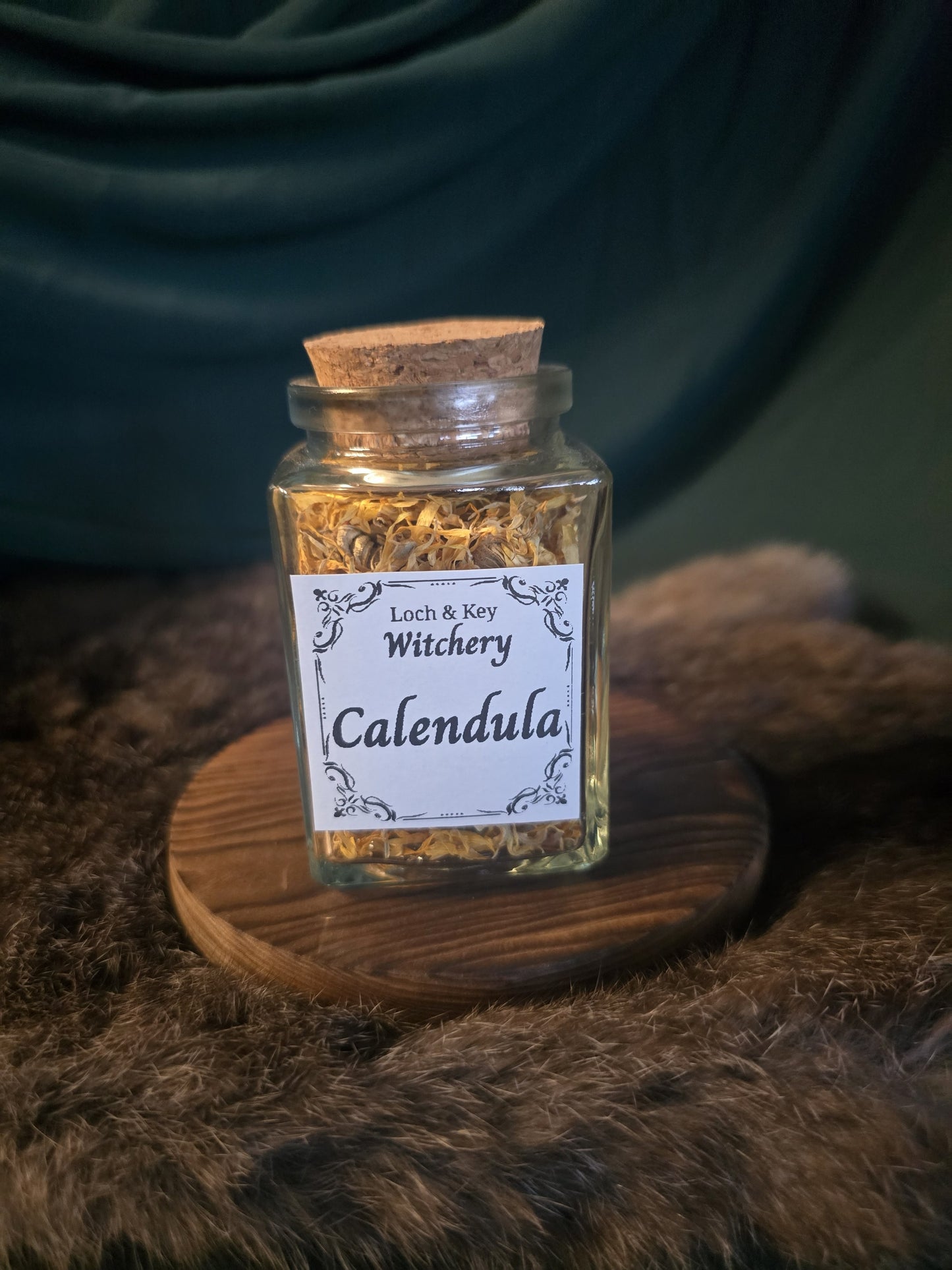 Calendula (Calendula officinalis)