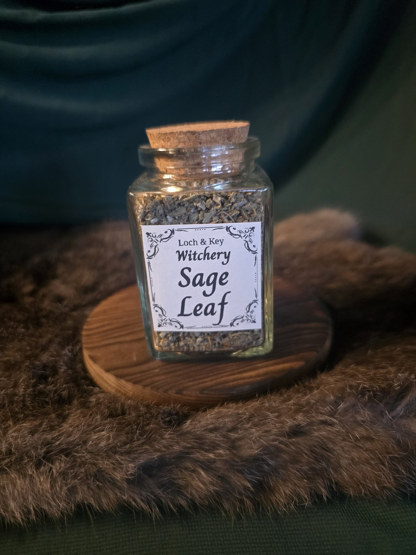 Sage Leaf (Salvia spp.)