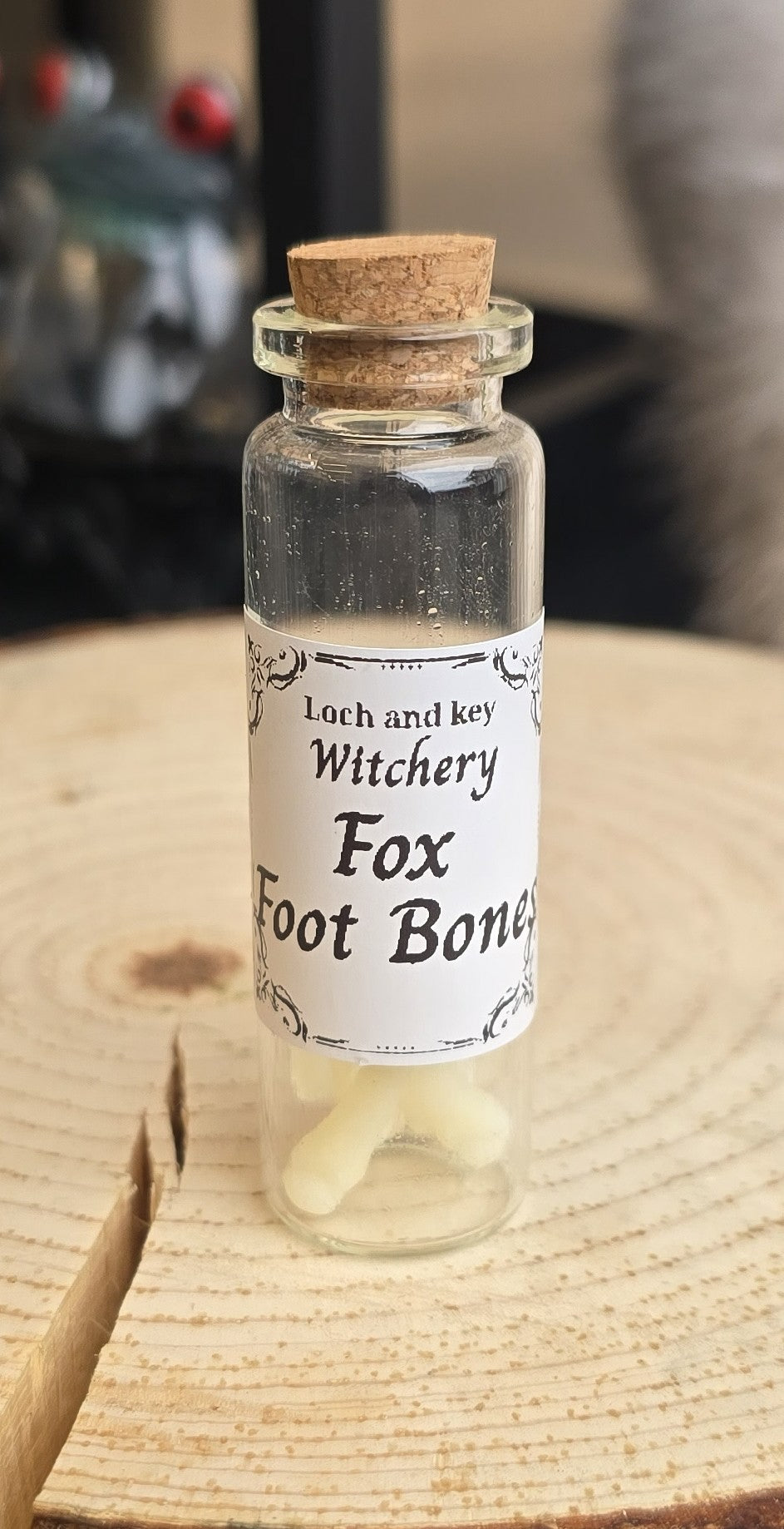 Fox Foot Bone