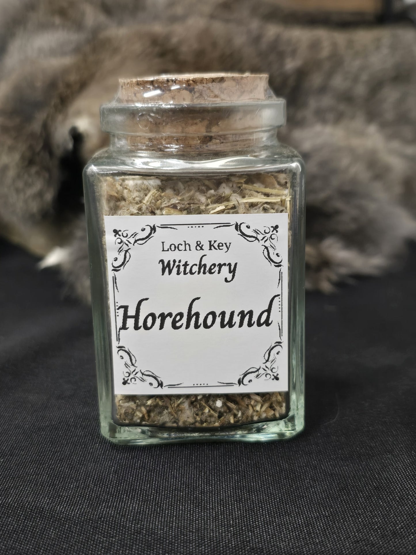 Horehound (Marrubium vulgare)