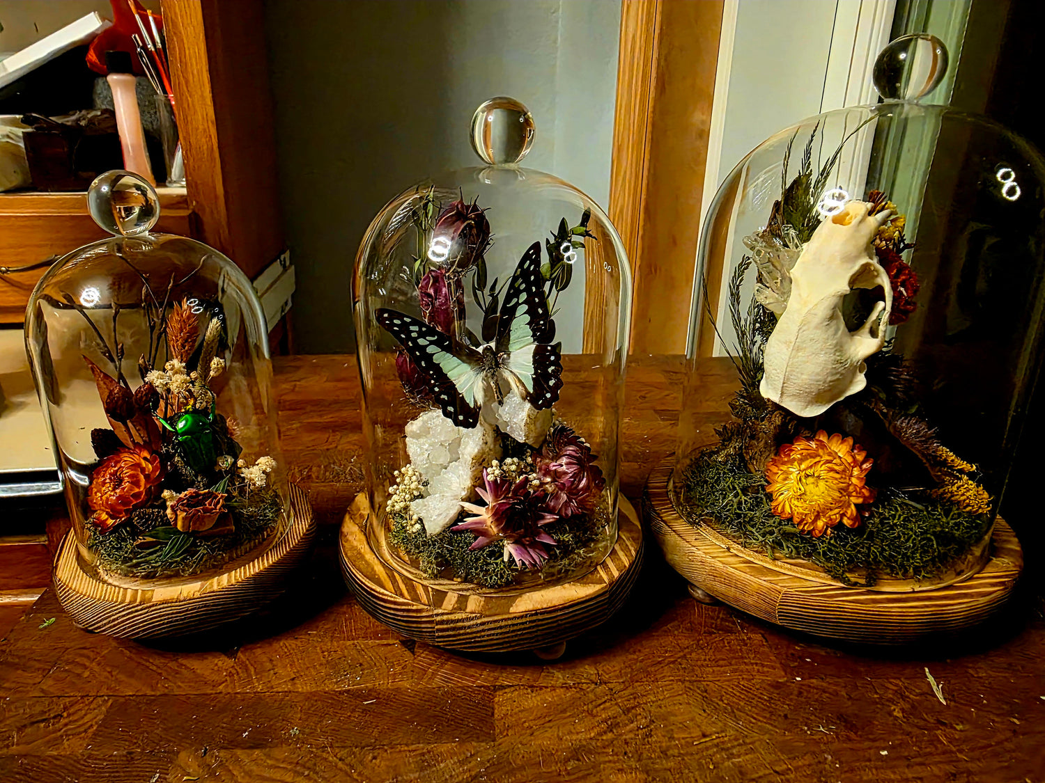 Terrarium of Curiosities Workshop