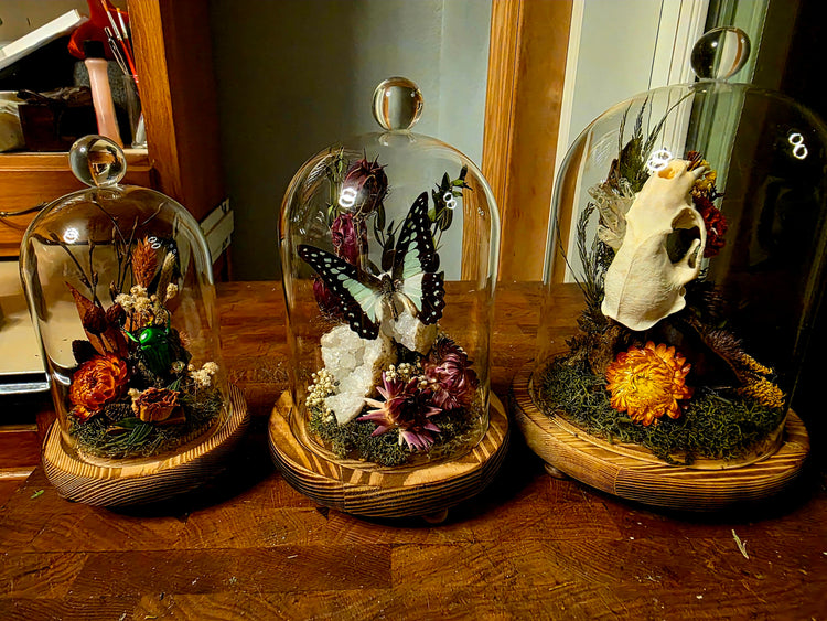 Terrarium of Curiosities Workshop