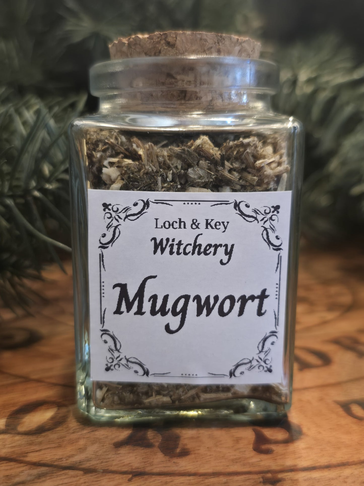 Mugwort