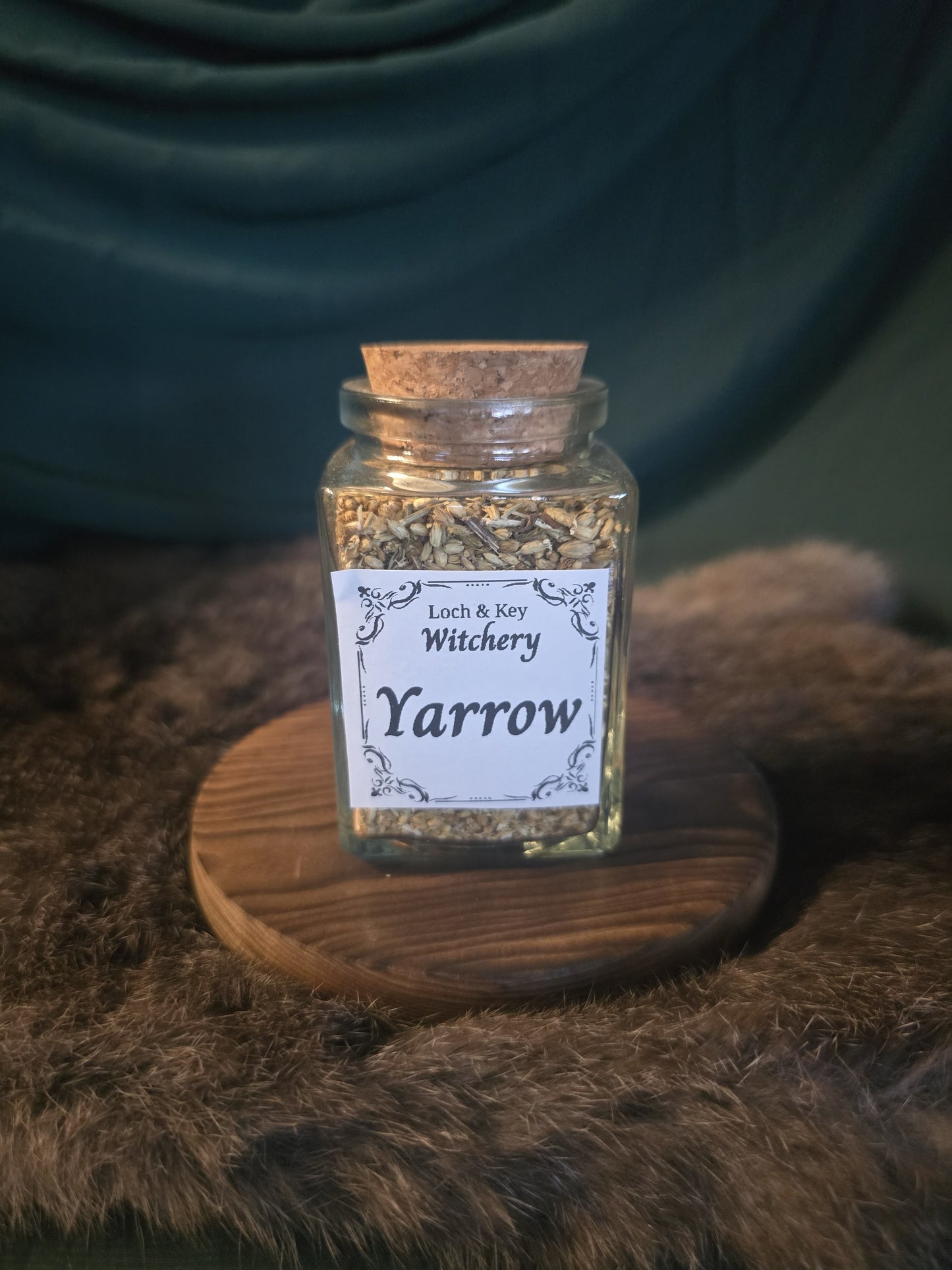 Yarrow (Achillea millefolium)