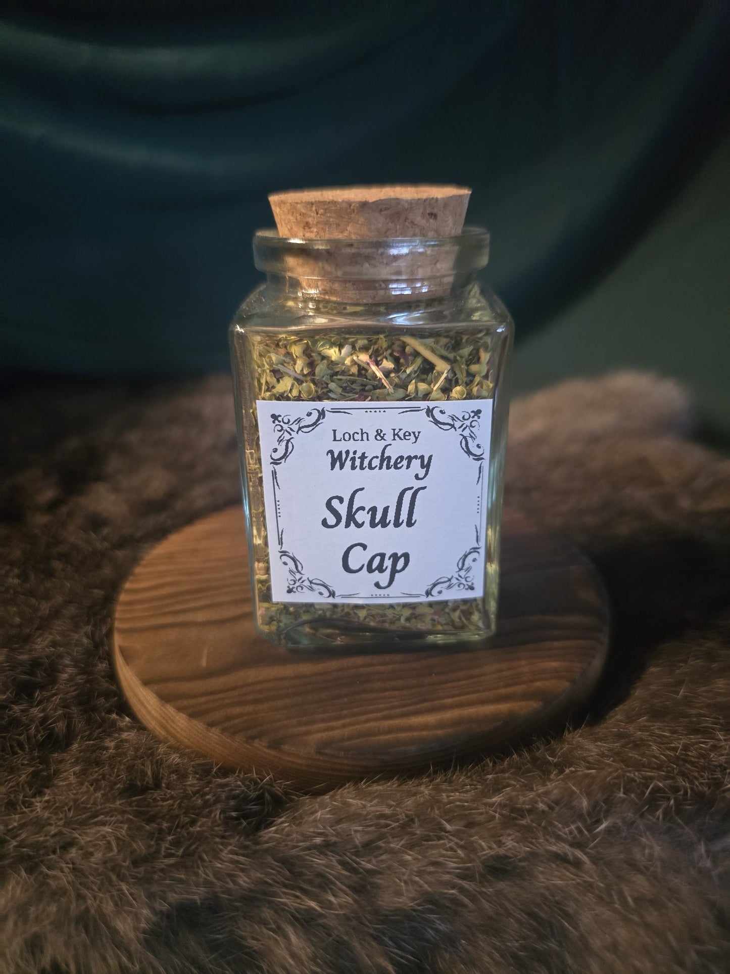 Skullcap (Scutellaria spp.)