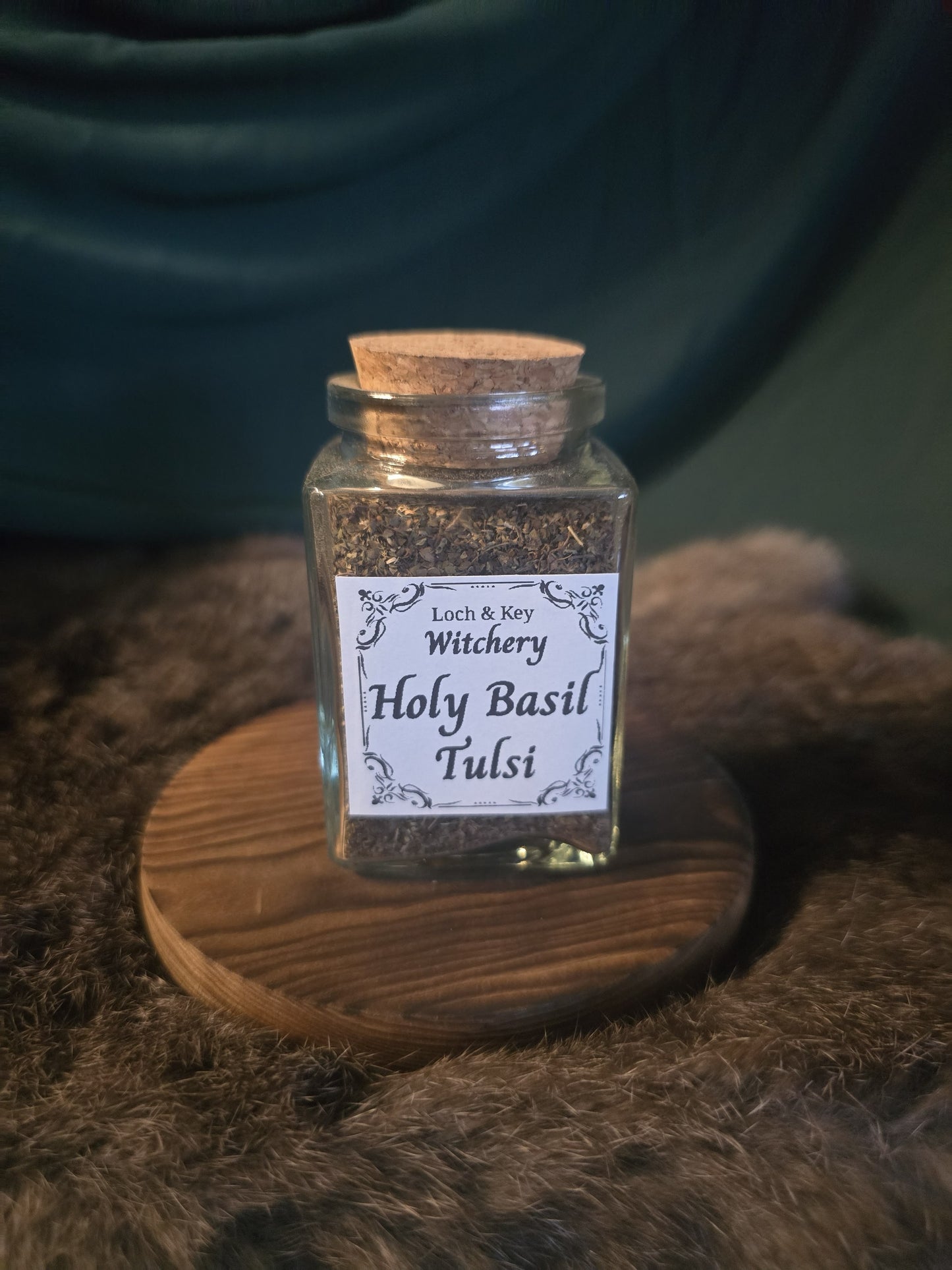 Holy Basil (Tulsi)