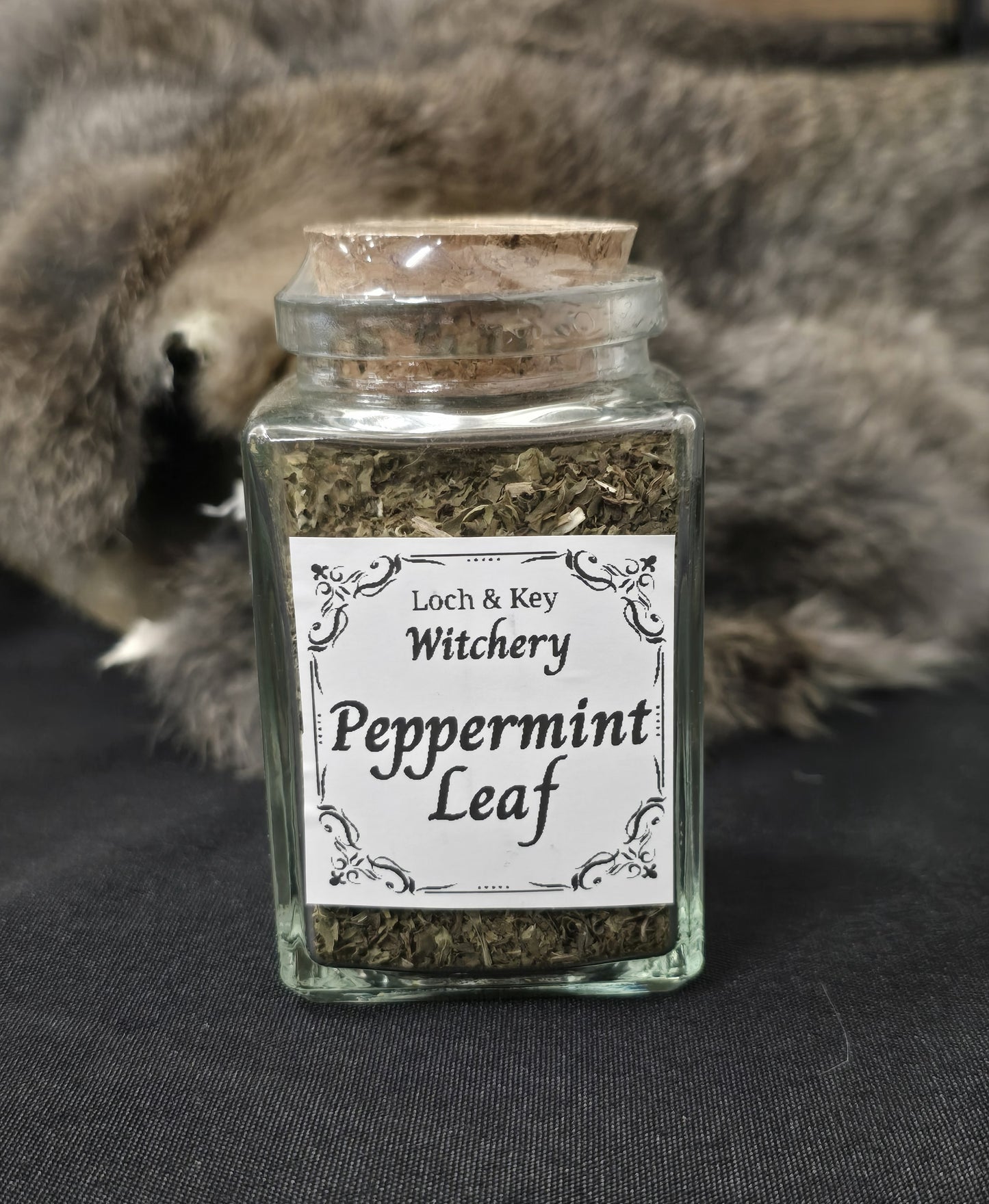 Peppermint Leaf (Mentha × piperita)