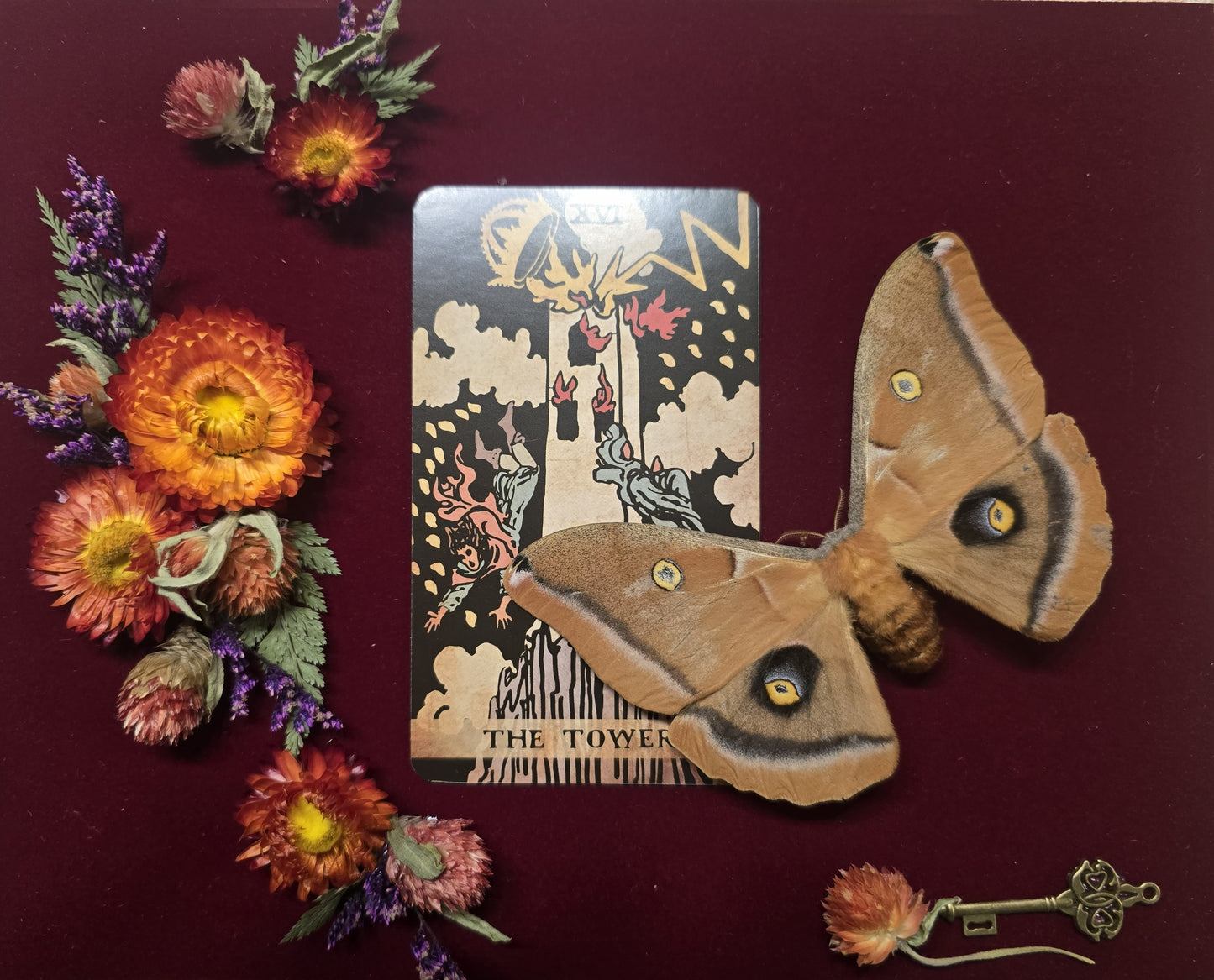 Custom Shadow Box – Bugs, Bones & Skulls; Flowers