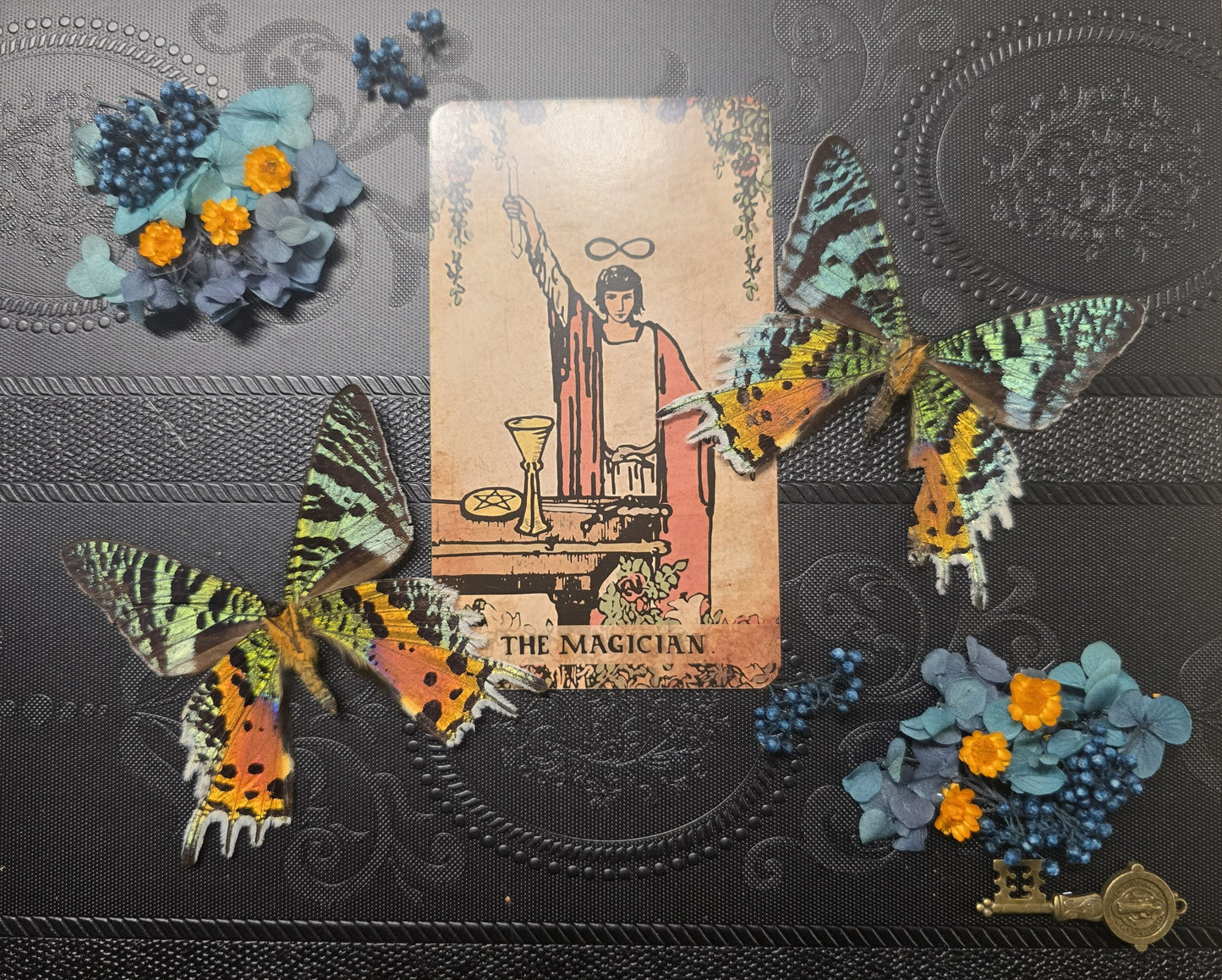 Custom Shadow Box – Bugs, Bones & Skulls; Flowers