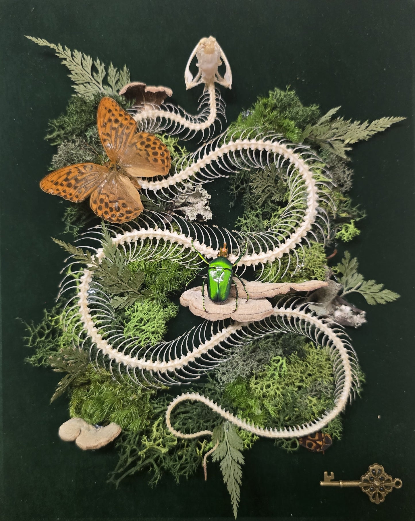 Custom Shadow Box – Bugs, Bones & Skulls; Flowers