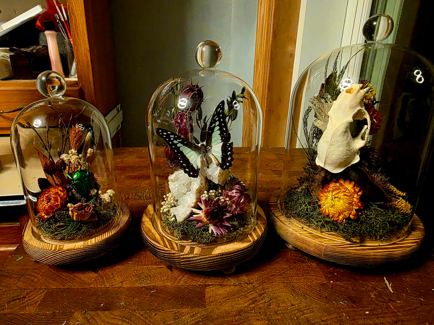 Terrarium Building Workshop